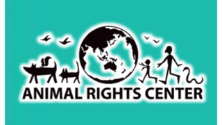 動物たちにも思いやりを。言葉を持たない動物たちの代わりにメッセージを伝える「アニマルライツセンター」
